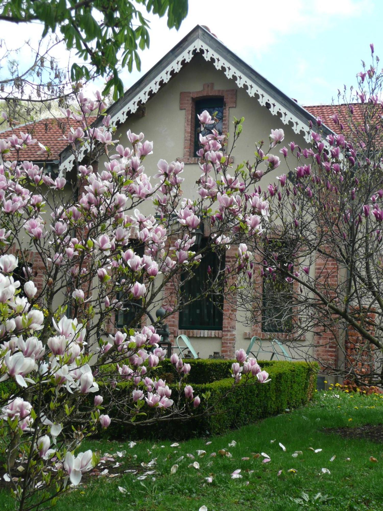 Bed and Breakfast Au Fond De La Cour Veyre-Monton Екстер'єр фото